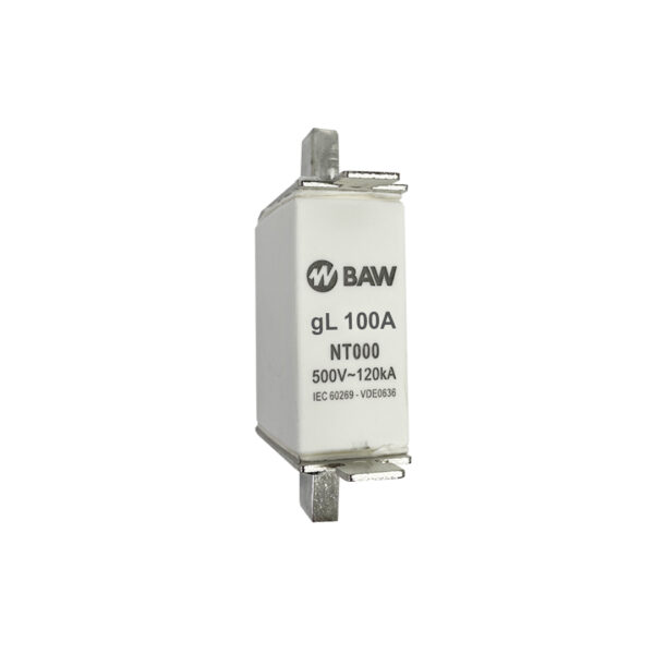 Fusible NH000 100A GL ICC 100kA BAW NT000100