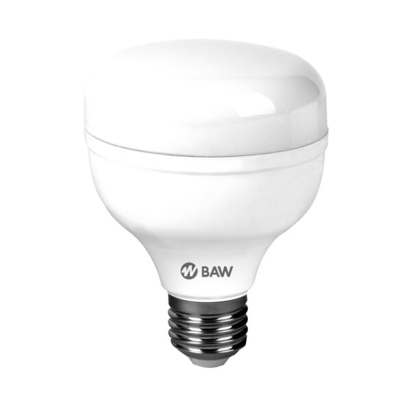 Lamp. Led alta potencia 20w compacta E-27 3.000k T080L20C BAW